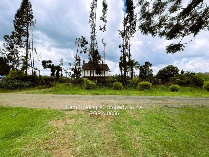 Time-Bound Sale with exceptional value