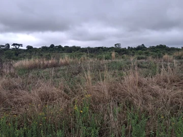 Commercial & Industrial Land