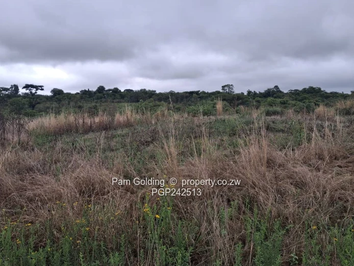 Prime Commercial Land for Sale – Exceptional Opportunity in Rusape