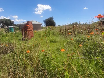 Stands & Residential Land