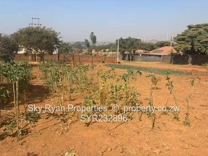 Tynwald Stand For Sale 