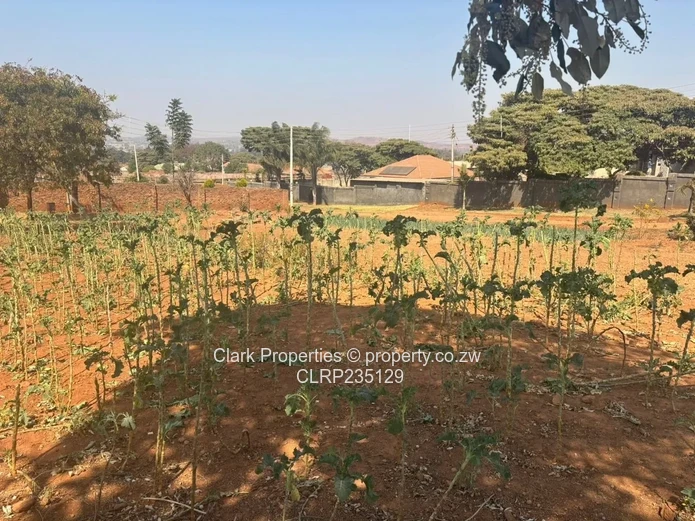 Tynwald Stand Perfect for Home or Investment