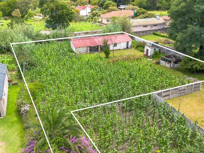 2000sqm Panhandle Stand With A Cottage In Athlone (Sole Mandate)