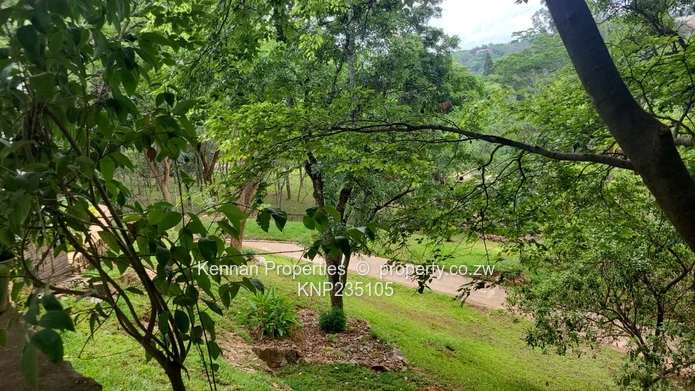 Delightful Starter Home Perched On A Hill