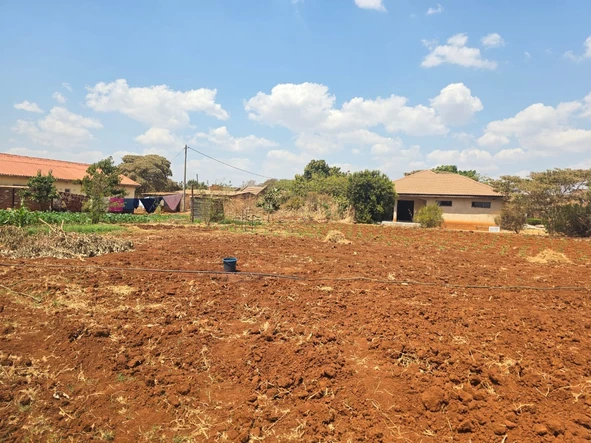 Stands & Residential Land
