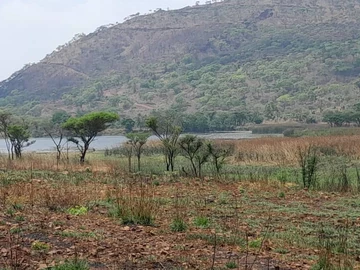 Farm & Agricultural Land