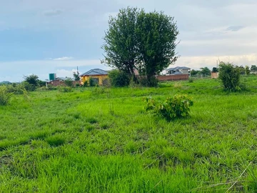 Farm & Agricultural Land