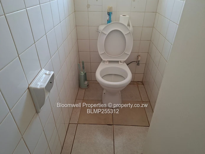 Spacious 3-Bed House in Vainona 