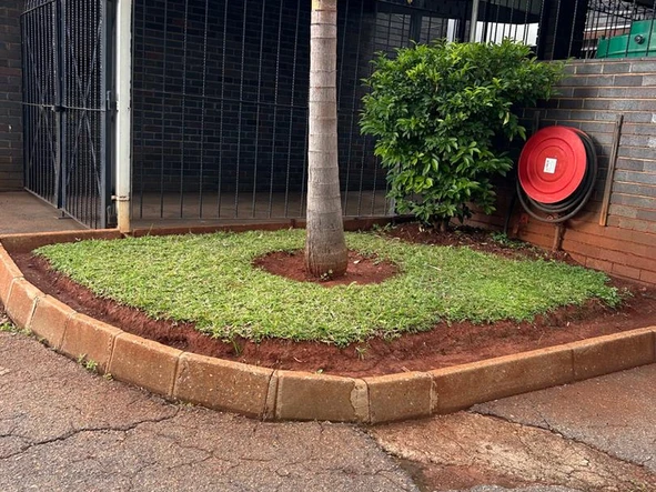 Duplex Flat for rent 