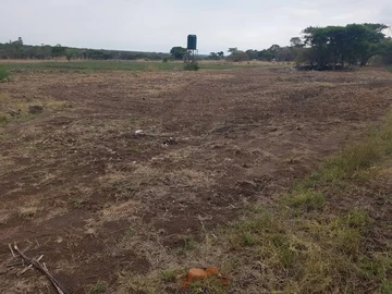 Farm & Agricultural Land