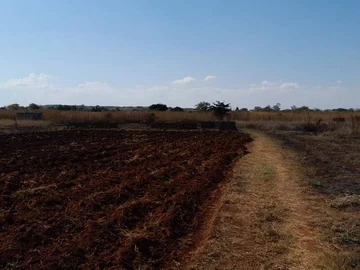 Land