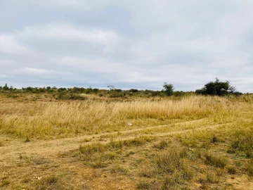 Farm & Agricultural Land