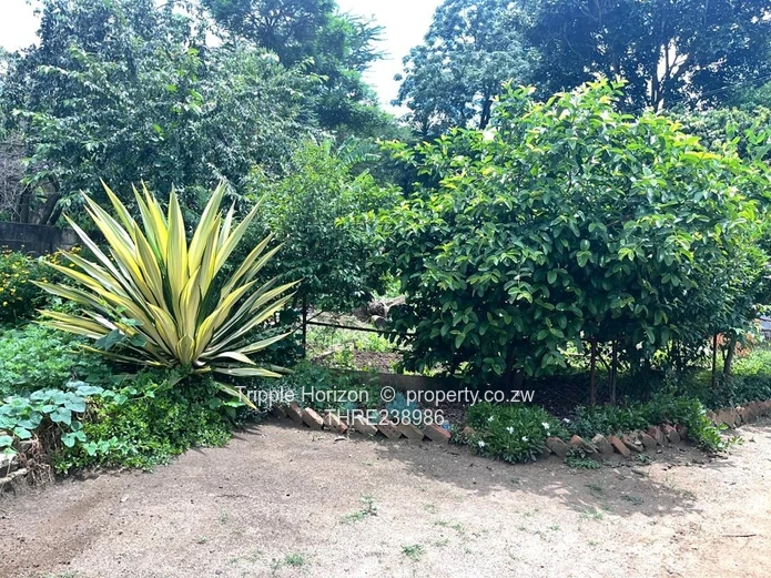 Mandara house for sale 