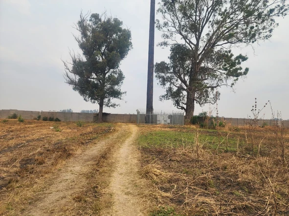 Stands & Residential Land