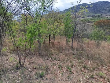 Farm & Agricultural Land