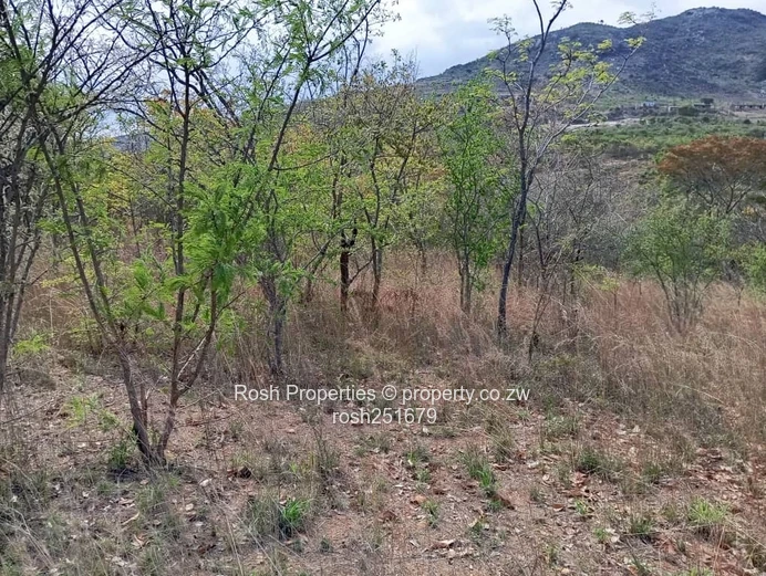 Dora-Virgin Land 5,000 sqm Plot