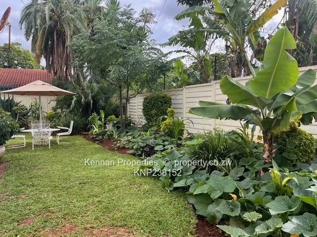 Investment Opportunity 