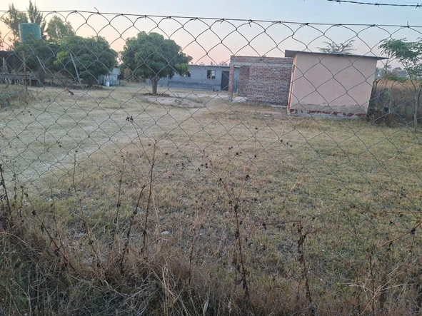 Farm & Agricultural Land