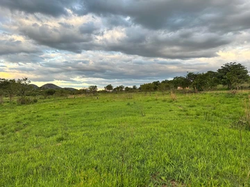 Farm & Agricultural Land