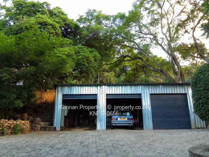 Elevated Starter Home with Lovely Trees (Sole Mandate)