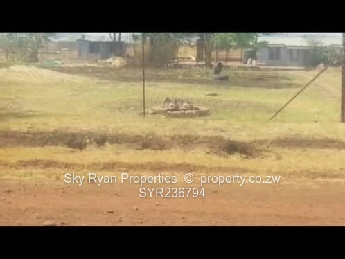 Norton Galloway Stand For Sale 