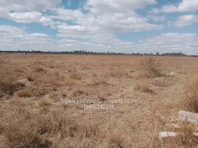 6.5 Acre Lynfield Farm – Flat Open Land, Water & Tarred Road