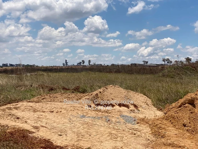 Nyeredzi Ridge Stands for Sale 