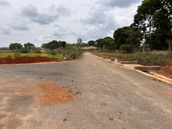 Stands & Residential Land