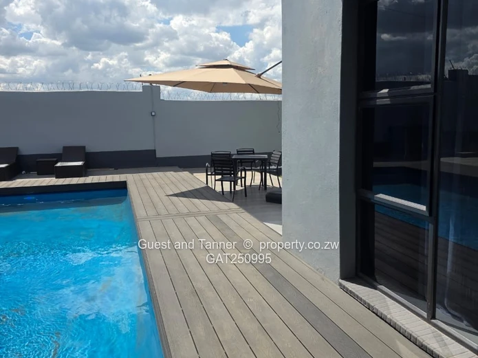 Luxury Landmark Mansion with Private Rooftop Helipad | Hogerty Hill Extension