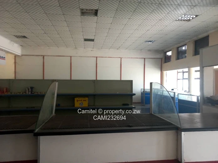  Samon Mazorodze just before Zindoga:Warehouse — Paved Yard, Offices, Borehole (Sole Mandate)