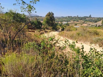 Nyanga Juliasdale 1ha plots for holiday homes. 20k , balance 8months