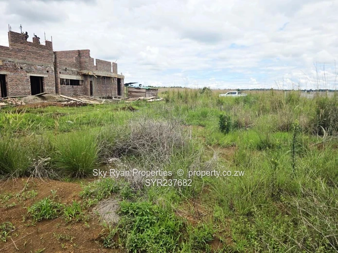 Pomona City Stand For Sale