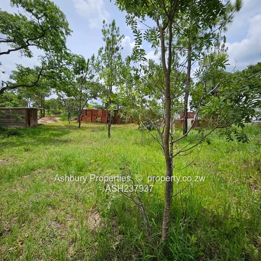 A rare to find stand at the Heart of Glen Lorne on Folyjon Crescent.