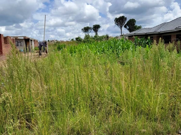 Stands & Residential Land