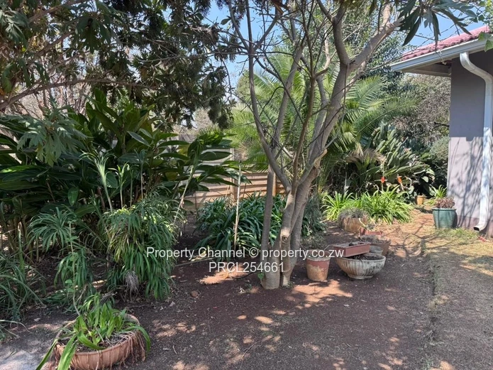 Stunning Modern Home in Mount Pleasant 
