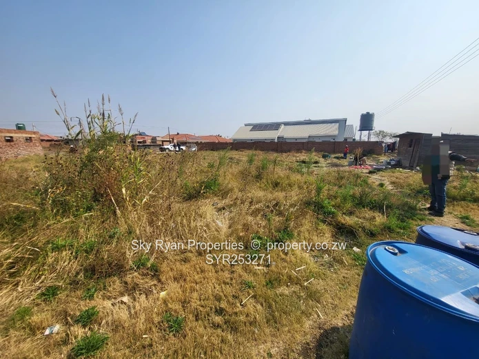 Madokero Stand For Sale