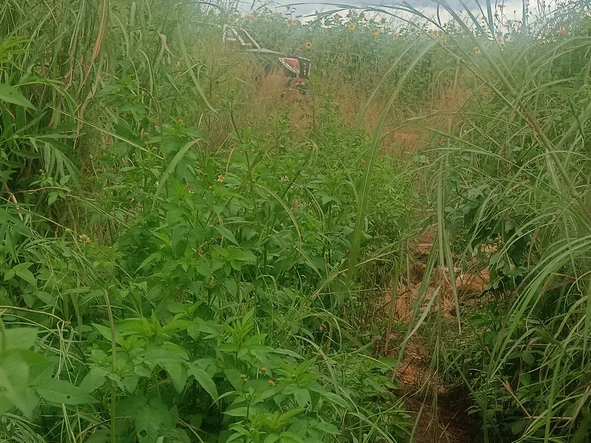 Farm & Agricultural Land