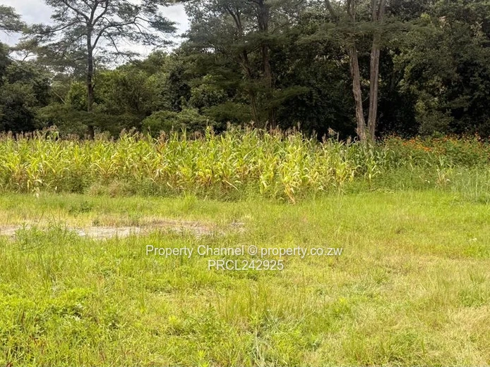 3 bedroom cottage  (Sole Mandate)