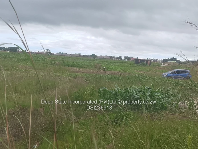 Zimre Park house for sale 