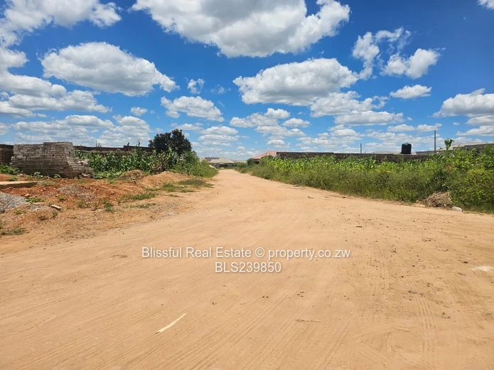 Stand for Sale in Zimre Park Extension