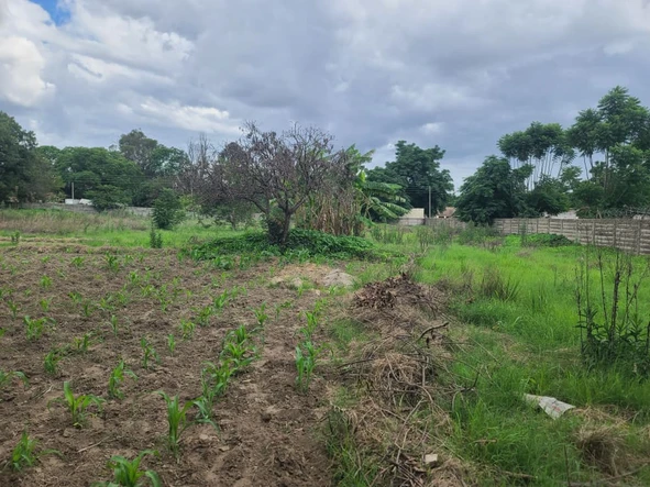 Stands & Residential Land