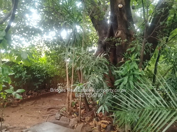 Rare find in Mabelreign Central (Sole Mandate)