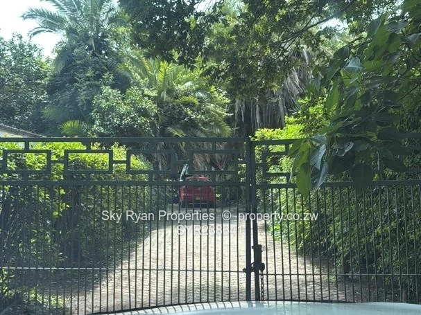 Highlands Cluster Stands For Sale