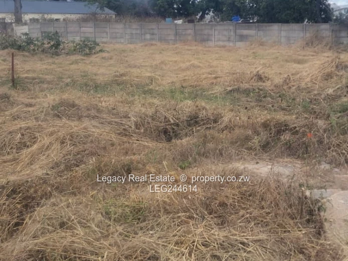 Waterfalls Prospect Cluster Stands For Sale