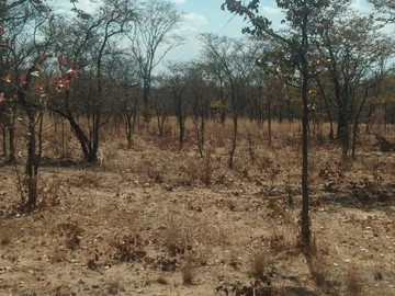 Farm & Agricultural Land