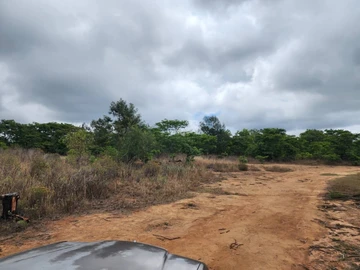 Farm & Agricultural Land