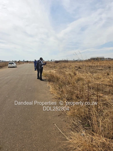 A choice of 3 stands. 2000 sqm Pomona Stand on Paved Road with Drainage