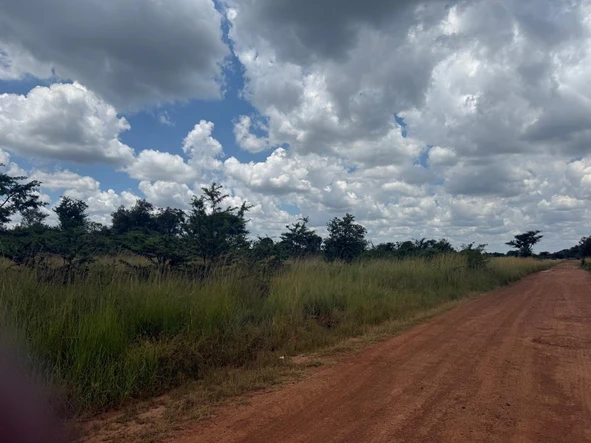 Farm & Agricultural Land