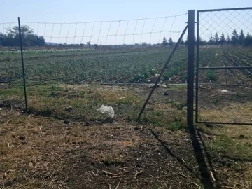 Farm & Agricultural Land