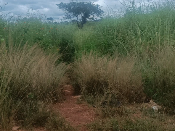 Farm & Agricultural Land